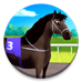 CodyCross → Berühmte Pferde